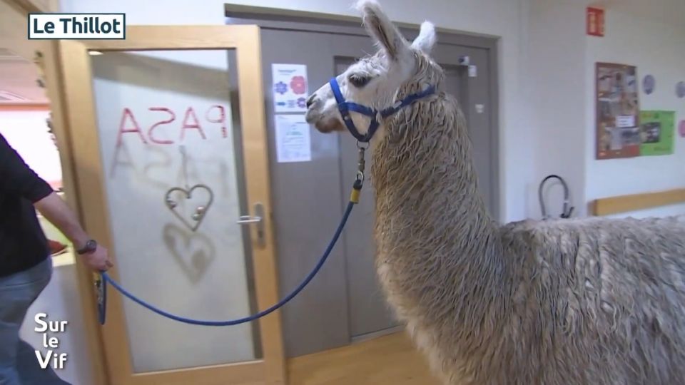 Sur le vif du 11 décembre