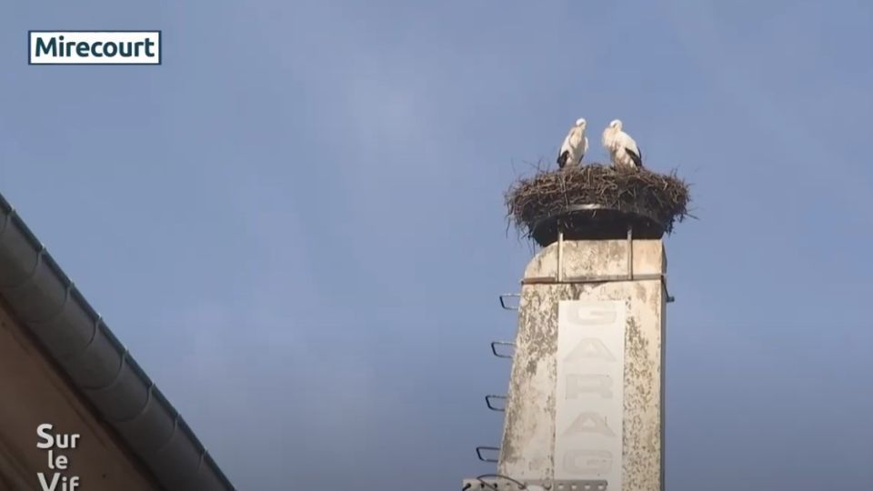 Sur le vif du 20 février