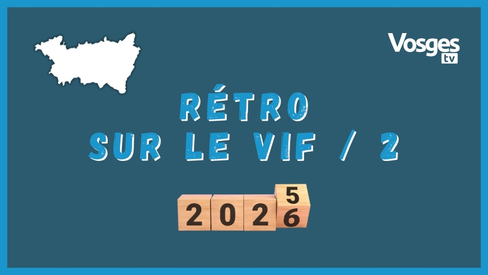 Rétrospective Sur le vif deuxième partie 2025