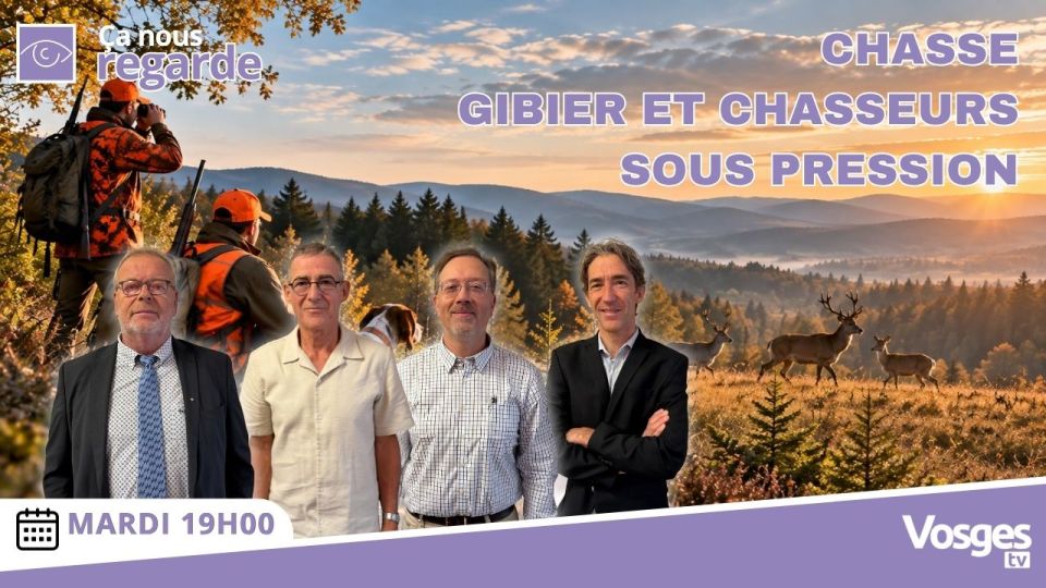 Chasse : gibier et chasseurs sous pression