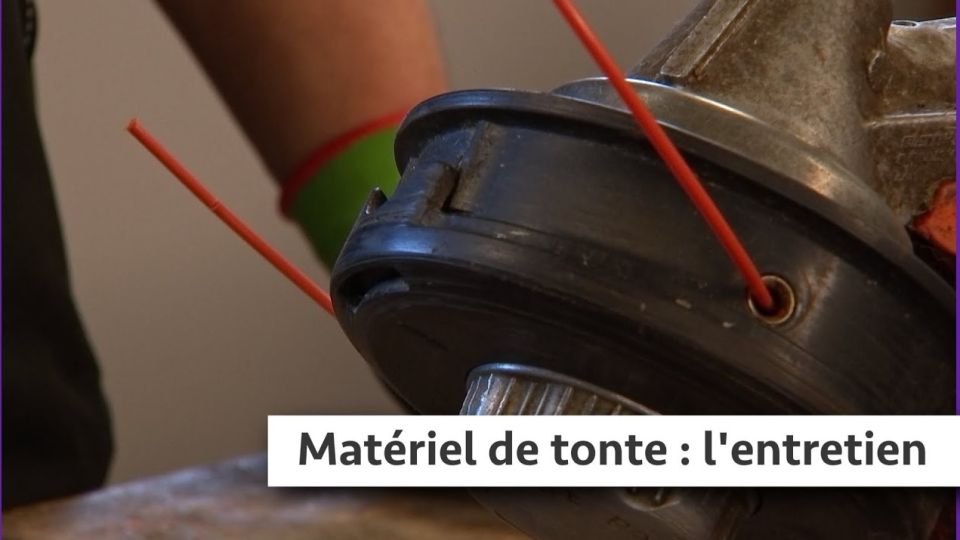 Atelier du jardin : Matériel de tonte : l'entretien