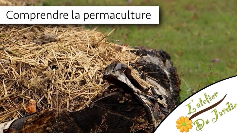 Atelier du jardin : Comprendre la permaculture