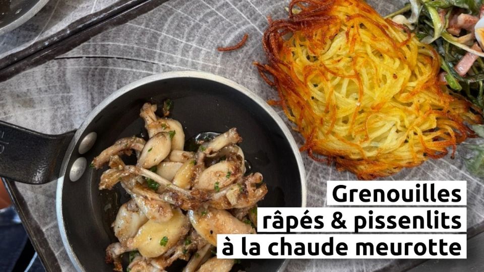 A feu doux : La Vigotte #03 Grenouilles, râpés & pissenlits à la chaude meurotte