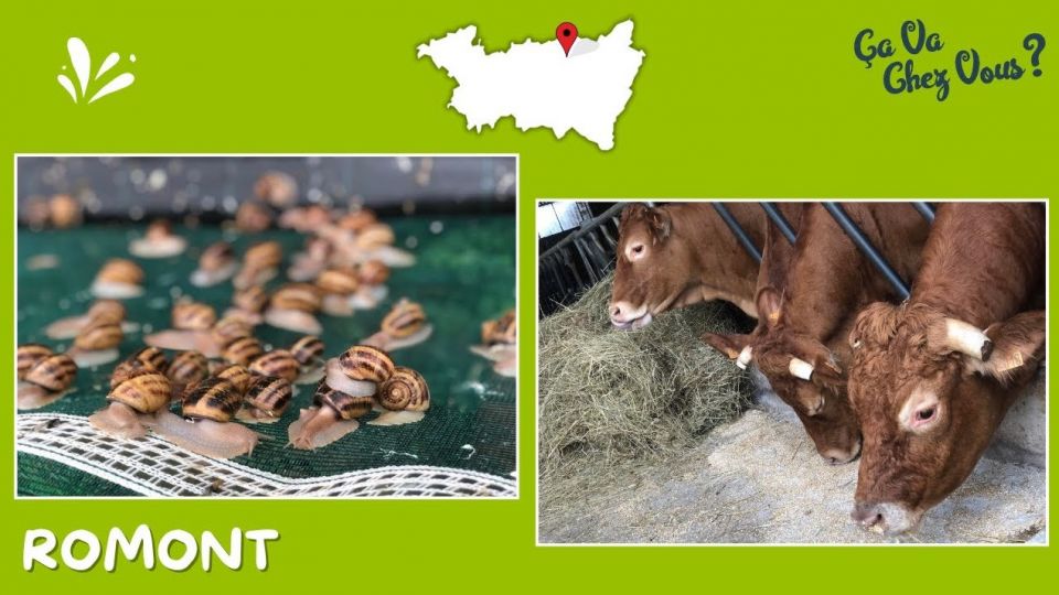 Ca va chez vous ? A Romont