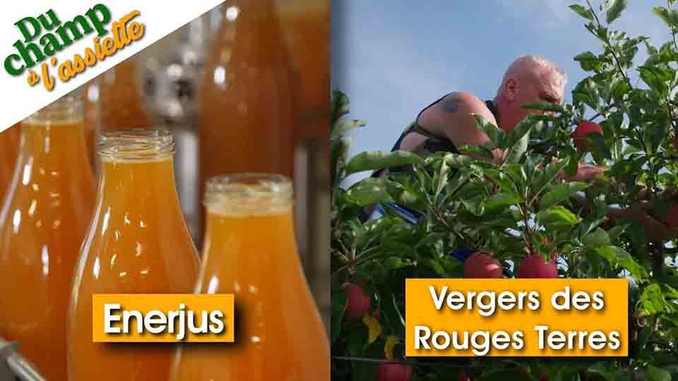 Du Champ à l'assiette : Chez Enerjus & au Vergers des Rouges Terres
