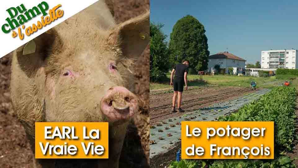 Du Champ à l'assiette : au potager de François & à l'EARL la vraie vie