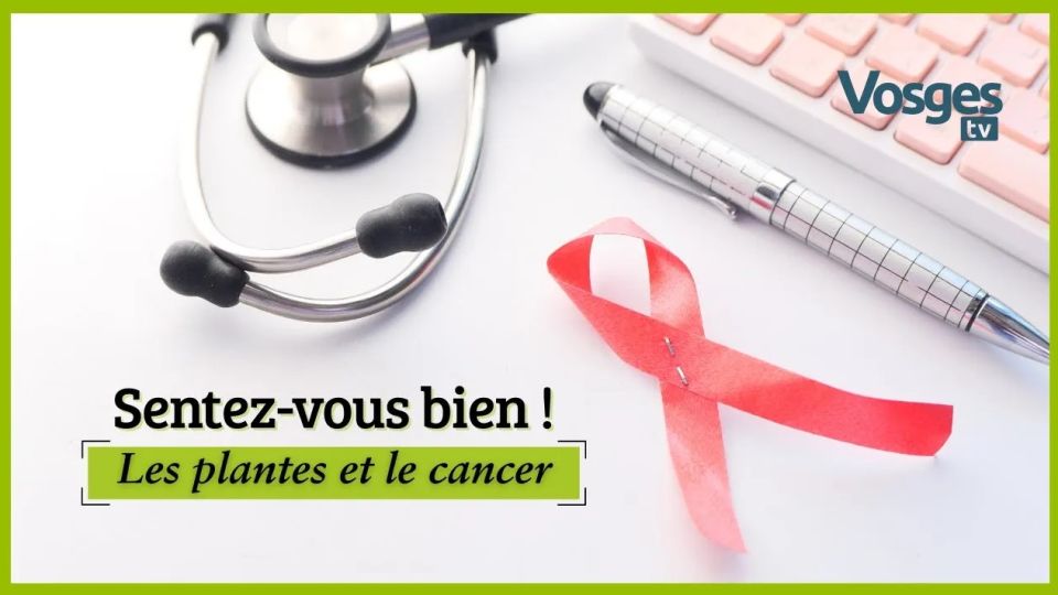 Sentez-vous bien ! Les plantes et le cancer