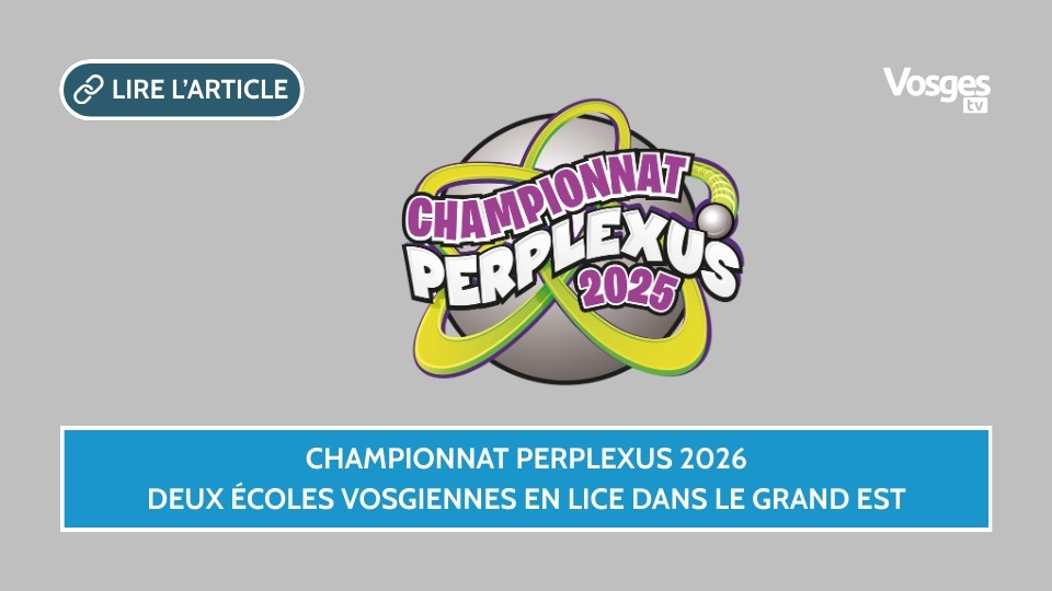 Championnat Perplexus 2026, deux écoles vosgiennes en lice dans le Grand Est