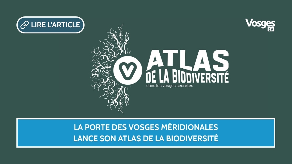 La Porte des Vosges Méridionales lance son Atlas de la biodiversité
