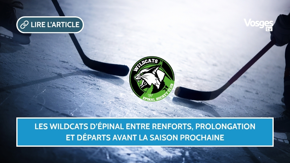 Les Wildcats d’Épinal entre renforts, prolongation et départs avant la saison prochaine