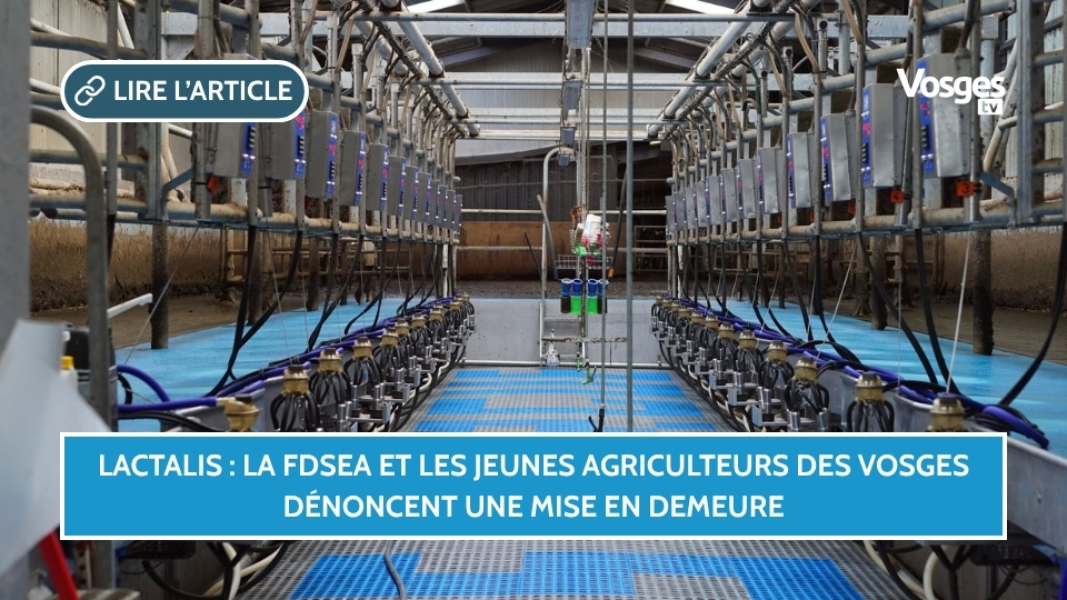 Lactalis : la FDSEA et les Jeunes Agriculteurs des Vosges dénoncent une mise en demeure