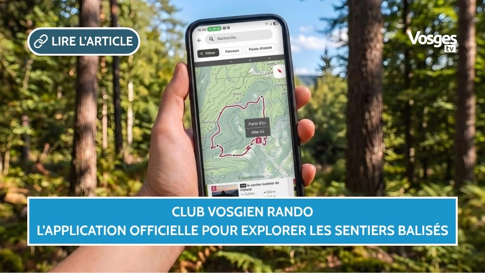 Club Vosgien Rando : l’application officielle pour explorer les sentiers balisés