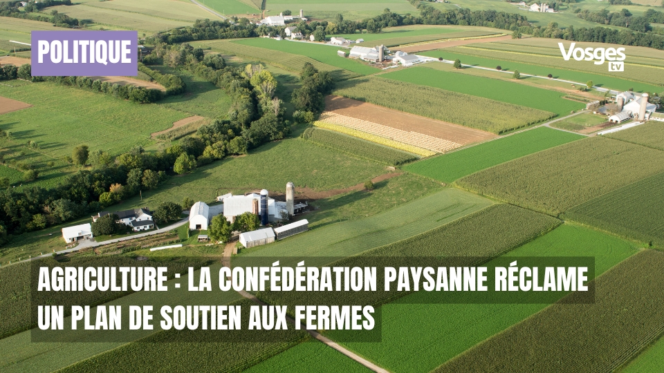 Agriculture : la Confédération paysanne réclame un plan de soutien aux fermes