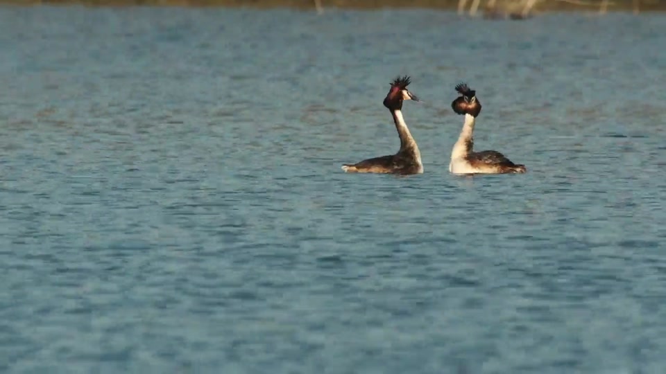 Documentaire : La Tournée du Canal de Alain Chrétien