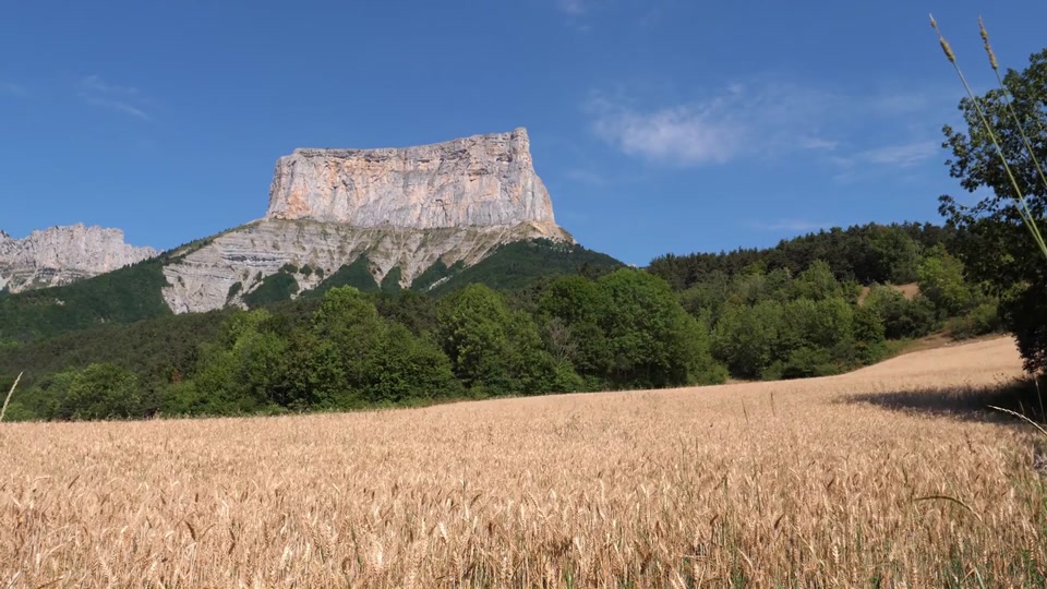 Documentaire : Whisky français, une aventure paysanne de Thierry Carlier
